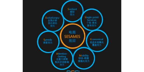 惠州大亞灣眾凱教育信息咨詢服務(wù)部 專業(yè)信息技術(shù)咨詢服務(wù)解析